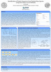 Research paper thumbnail of 4th MaxQuant Summer School 2012 - Identification of Protein Sequences from Tandem Mass Spectra using Non-metric Access Methods