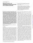 Research paper thumbnail of Maturational Changes in the Interdependencies between Cortical Brain Areas of Neonates during Sleep