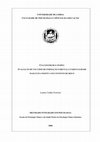 Research paper thumbnail of Co-construir o tempo: avaliação de um curso de formação parental e parentalidade masculina positiva em contexto de risco