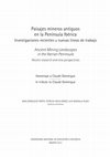 Research paper thumbnail of Organización y regulación de la actividad minera hispana altoimperial