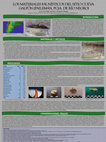 Research paper thumbnail of Los materiales faunísticos del sitio Cueva Galpón (Pailemán, Pcia de Rio Negro)