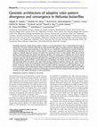 Research paper thumbnail of Genomic architecture of adaptive color pattern divergence and convergence in Heliconius butterflies