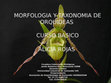 Research paper thumbnail of ORQUIDEAS ALICIA 2012