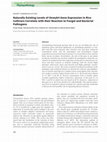 Research paper thumbnail of Naturally Existing Levels of Osmyb4 Gene Expression in Rice Cultivars Correlate with their Reaction to Fungal and Bacterial Pathogens