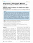 Research paper thumbnail of The Dystrophin Complex Controls BK Channel Localization and Muscle Activity in Caenorhabditis elegans