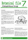 Research paper thumbnail of Cistophilous Fungi