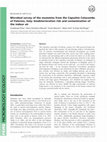 Research paper thumbnail of Microbial survey of the mummies from the Capuchin Catacombs of Palermo, Italy