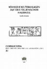 Research paper thumbnail of WINE ARCHAEOLOGY / G. BARATTA, Römische Kelteranlagen auf der italienischen Halbinsel. Ein Überblick über die schriftlichen, bildlichen und archäologischen Quellen (200 V.Chr. - 400 N.Chr.)”, (Cornucopia, Repertoris i materials per a l’estudi del món clàssc 11), Murcia 2005