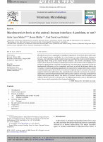 Research paper thumbnail of Mycobacterium Bovis at the Animal-Human Interface: A Problem, or Not?