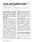 Research paper thumbnail of Prediction, identification, and artificial selection of DNA rearrangements in Rhizobium: Toward a natural genomic design