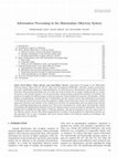 Research paper thumbnail of Information Processing in the Mammalian Olfactory System