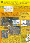 Research paper thumbnail of Remote sensing techniques in the study of civil settlement near Novae (A. Tomas, P. Wroniecki, M. Jaworski, M. Pisz, S. Rzeźnik)