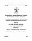 Research paper thumbnail of Estrategias de Obtención de Sal en la Región de Soconusco Acayucán, Veracruz: Un Modelo Etnoarqueológico de Obtención de Sal en Grupos Contemporáneos no Industrializados 