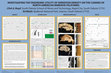 Research paper thumbnail of Investigating the Taxonomic Utility of Serration Density on the Canines of  North American Nimravid Feliforms