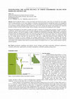 Research paper thumbnail of INVESTIGATING THE WATER BALANCE AT NORTH STRADBROKE ISLAND WITH MODFLOW AND PEST-ASP.