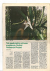 Research paper thumbnail of Sprung, Joacim, ”Two speculative sketches concerning the Orchid Research Project”,(2002)