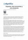 Research paper thumbnail of Expertos, dos economías y una amazonia