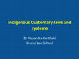 Research paper thumbnail of Indigenous Customary systems- Trento university, November 2013