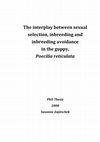 Research paper thumbnail of The interplay between sexual selection, inbreeding and inbreeding avoidance in the guppy, Poecilia reticulata