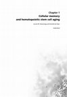 Research paper thumbnail of Cellular Memory and Hematopoietic Stem Cell Aging