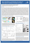 Research paper thumbnail of Nitric oxide binds to and modulates the activity of a pollen specific Arabidopsis diacylglycerol kinase