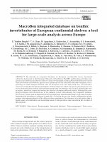 Research paper thumbnail of MacroBen integrated database on benthic invertebrates of European continental shelves: a tool for large-scale analysis across Europe