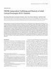 Research paper thumbnail of TRIP8b-Independent Trafficking and Plasticity of Adult Cortical Presynaptic HCN1 Channels