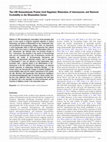 Research paper thumbnail of The LIM Homeodomain Protein Lhx6 Regulates Maturation of Interneurons and Network Excitability in the Mammalian Cortex