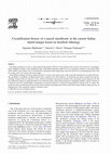 Research paper thumbnail of Crystallization history of a massif anorthosite in the eastern Indian shield margin based on borehole lithology Dipankar Mukherjeea, Naresh C. Ghosea, Nilanjan Chatterjee