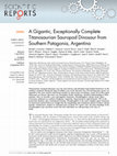 Research paper thumbnail of A Gigantic, Exceptionally Complete Titanosaurian Sauropod Dinosaur from Southern Patagonia, Argentina