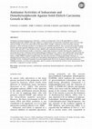 Research paper thumbnail of Antitumor Activities of Iodoacetate and Dimethylsulphoxide Against Solid Ehrlich Carcinoma Growth in Mice