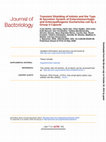 Research paper thumbnail of Transient Shielding of Intimin and the Type III Secretion System of Enterohemorrhagic and Enteropathogenic Escherichia coli by a Group 4 Capsule