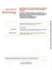 Research paper thumbnail of Identification of an Escherichia coli Operon Required for Formation of the O-Antigen Capsule