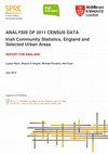 Research paper thumbnail of Analysis of 2011 UK Census Data: Irish community statistics