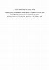 Research paper thumbnail of Characterization of the lowland coastal aquifer of Comacchio (Ferrara, Italy): hydrology, hydrochemistry and evolution of the system