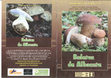 Research paper thumbnail of Boletus de Albacete