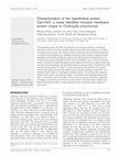 Research paper thumbnail of Characterization of the hypothetical protein Cpn1027, a newly identified inclusion membrane protein unique to Chlamydia pneumoniae