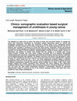 Research paper thumbnail of Clinico- sonographic evaluation based surgical management of urolithiasis in young calves