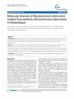 Research paper thumbnail of Molecular diversity of Mycobacterium tuberculosis isolates from patients with pulmonary tuberculosis in Mozambique