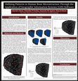 Research paper thumbnail of Defining Patterns in Human Bone Microstructure Through the Application of Geographic Information Systems (GIS) Software