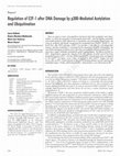 Research paper thumbnail of Regulation of E2F-1 after DNA damage by p300-mediated acetylation and ubiquitination