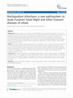 Research paper thumbnail of Brachypodium distachyon: a new pathosystem to study Fusarium head blight and other Fusarium diseases of wheat