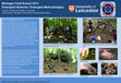 Research paper thumbnail of Mohegan Field School 2013: Entangled Histories, Entangled Methodologies (Cipolla and Quinn 2014)