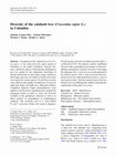 Research paper thumbnail of Diversity of the calabash tree (Crescentia cujete L.) in Colombia