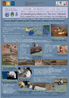 Research paper thumbnail of The Petrified Forest of Tak, Thailand – New Challenges for the Science of Conservation