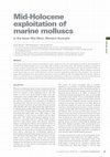 Research paper thumbnail of Mid-Holocene exploitation of marine molluscs in the lower Mid West, Western Australia