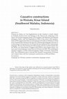 Research paper thumbnail of Causative constructions in Woirata, Kisar Island (Southwest Maluku, Indonesia)