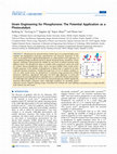 Research paper thumbnail of Strain Engineering for Phosphorene: The Potential Application as a Photocatalyst. 