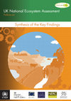 Research paper thumbnail of UK National Ecosystem Assessment Follow-on: synthesis of the key findings