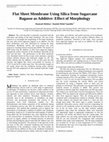 Research paper thumbnail of Flat Sheet Membrane Using Silica from Sugarcane Bagasse as Additive: Effect of Morphology